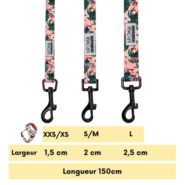 Laisse Nylon pour chien - Tropicool